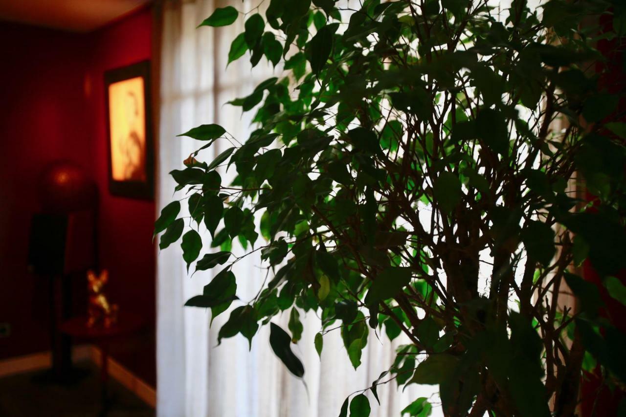 Le Talisman Bed & Breakfast Saint-Germain-en-Laye Exterior photo